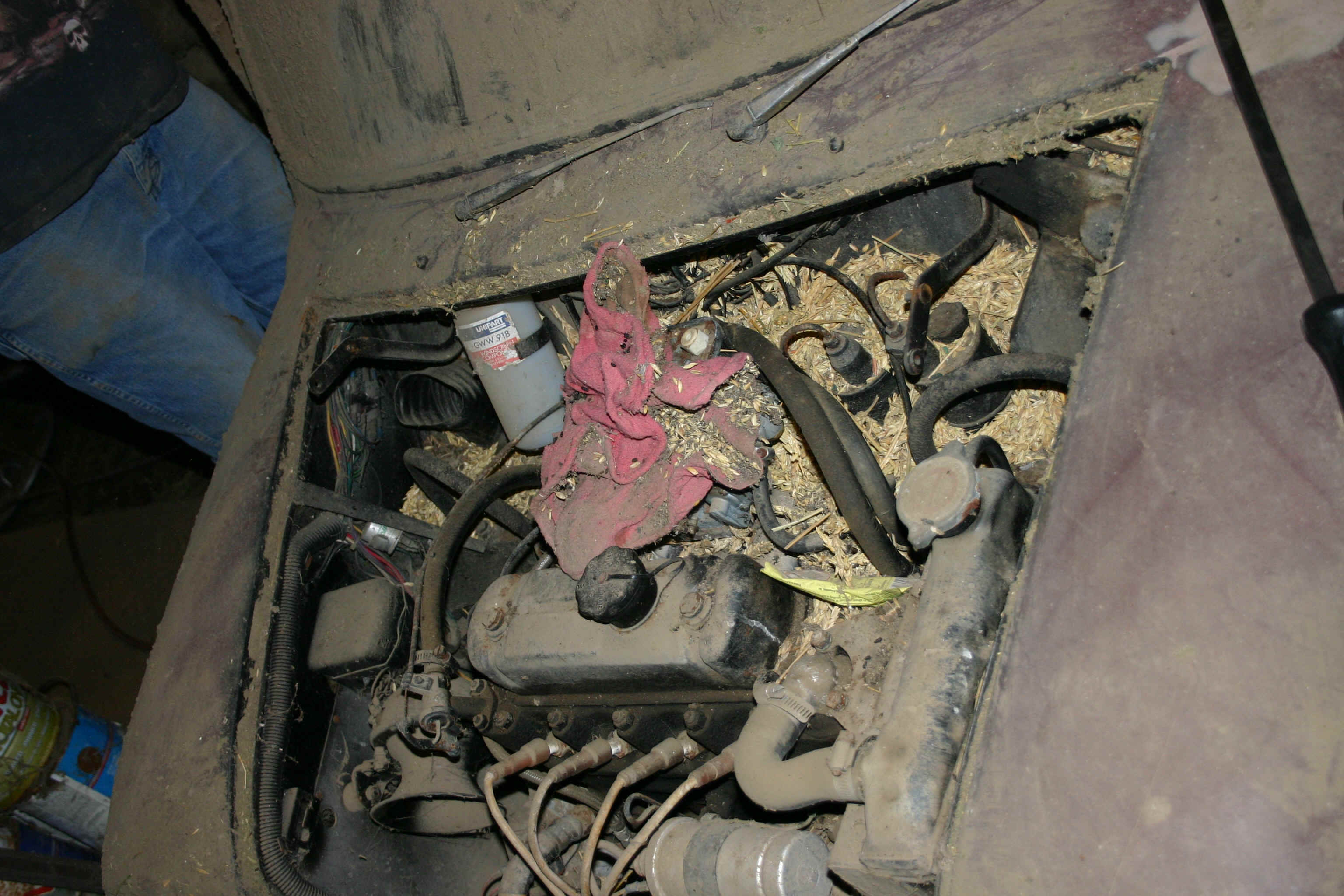 IMG_4831.JPG (454451 bytes)