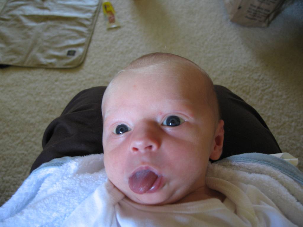 tongue2.JPG (60124 bytes)